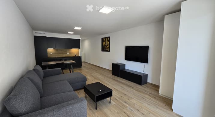 Rent a 2 room apartment in Riddes