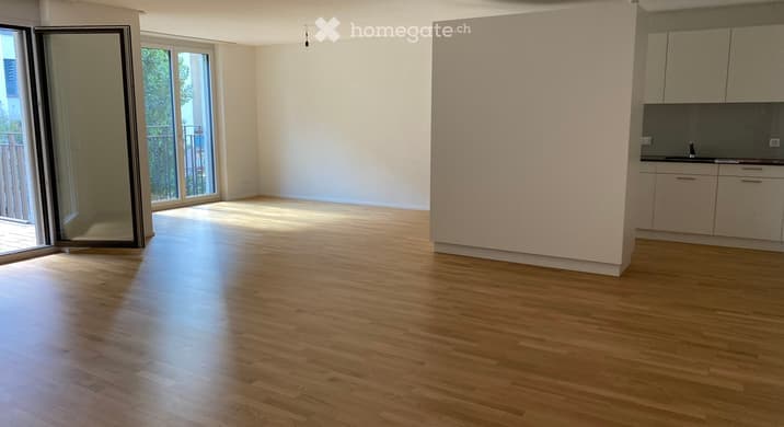 Rent a 1 rooms apartment in Biel (BE)