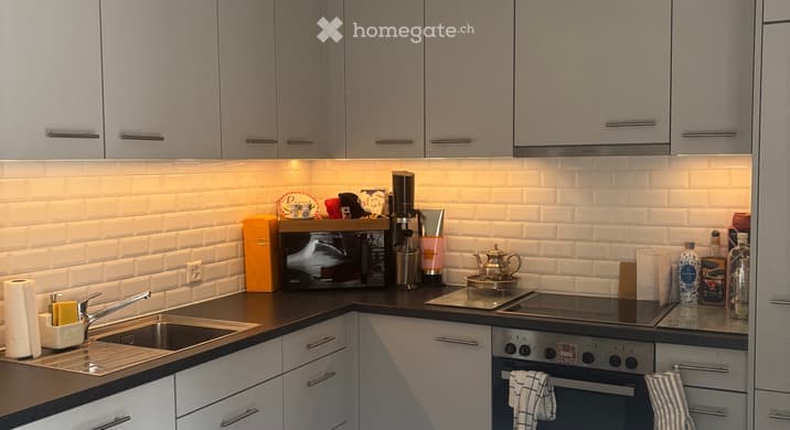 Rent a 2 rooms apartment in Genf