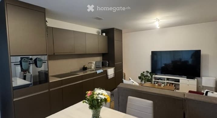 Rent a 1 rooms apartment in Zürich