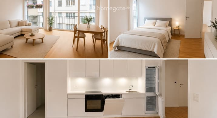 Rent a 1 ½ rooms apartment in Luzern