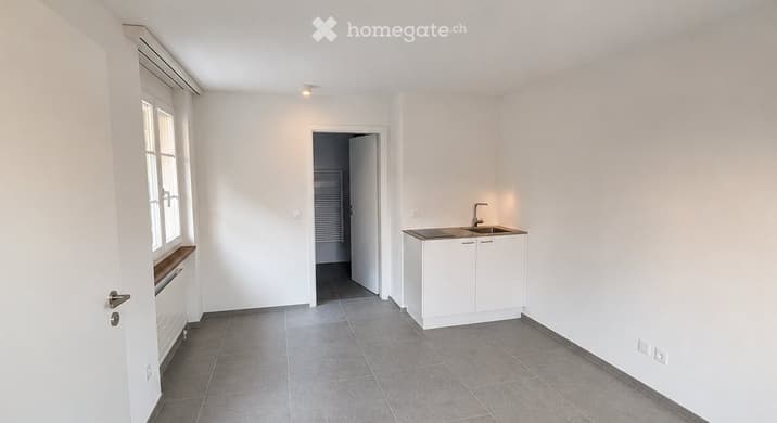 Rent a 1 ½ rooms single house in Hochdorf