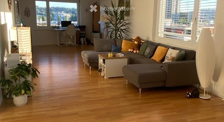 Rent a 1 ½ rooms apartment in Bern