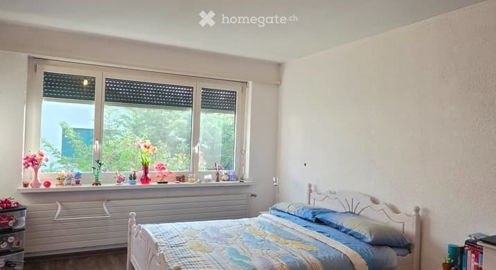 Rent a 1 room single room in Wohlen AG