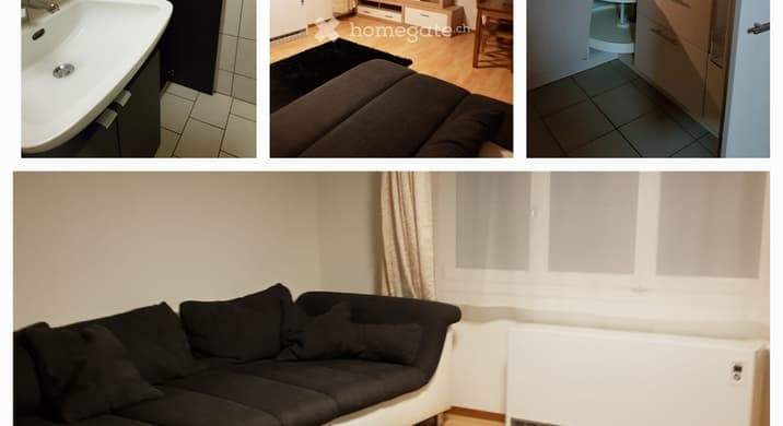 Rent a 1 rooms apartment in Unteriberg