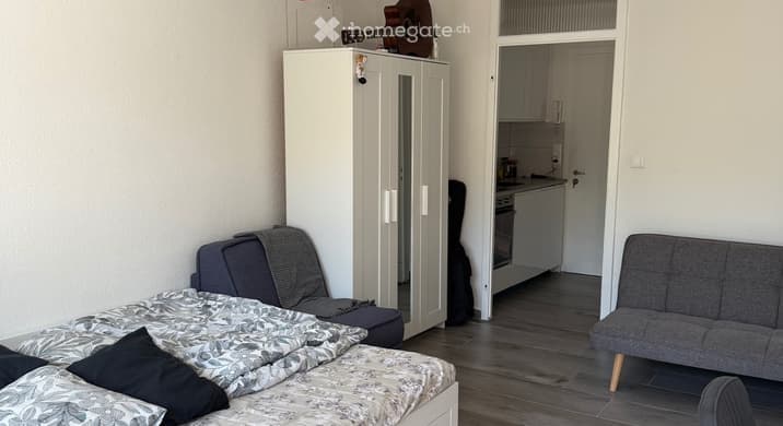 Rent a 2 room apartment in Lugano