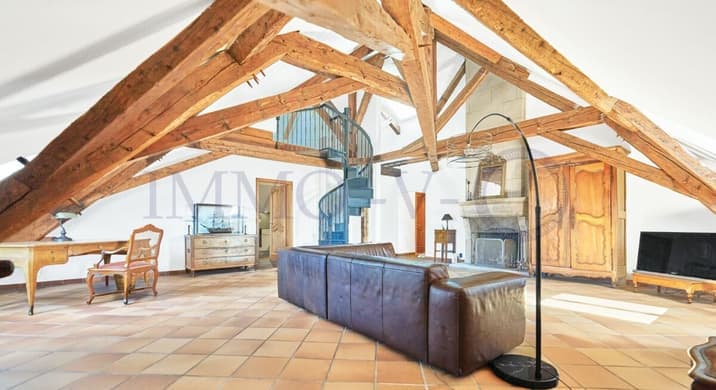Rent a 1 rooms attic flat in Nyon